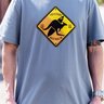 freesurf camiseta canguru e pracha