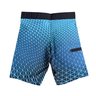 bermuda agua mormaii boardshort triangulo azul 5