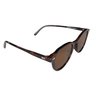 oculos de sol sym turtle marrom brilho lente marrom sym13 5